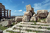 Selinunte the Acropolis. Remains of the magnificent temple C and temple D. 